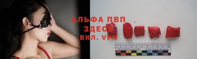гашик Баксан