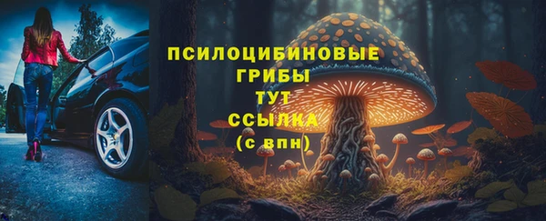 соль ск Балахна