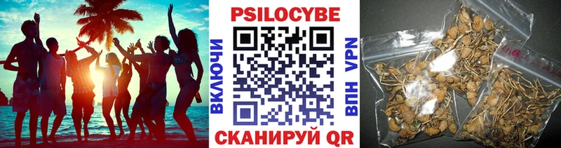 цена наркотик  Ессентуки  Псилоцибиновые грибы Magic Shrooms 